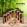 Artero-nature-line.jpg Artero-nature-line.jpg